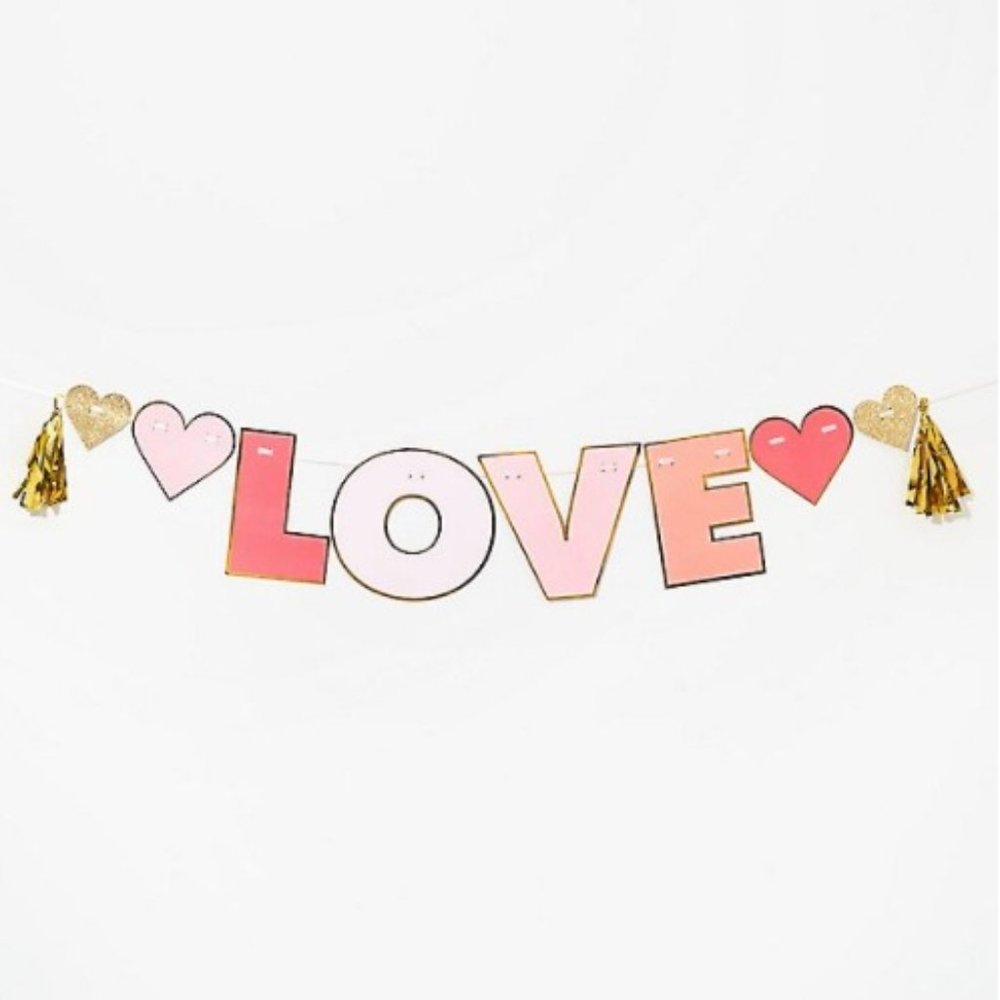 💜 PAPER SOURCE Love Heart Tassel Garland NIB